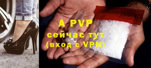 apvp Иннополис