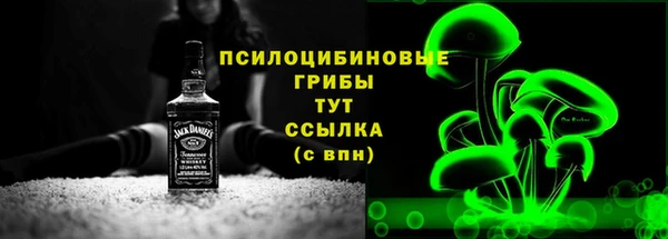 apvp Иннополис