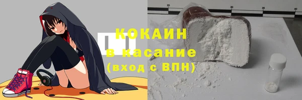 apvp Иннополис