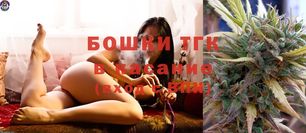 apvp Иннополис