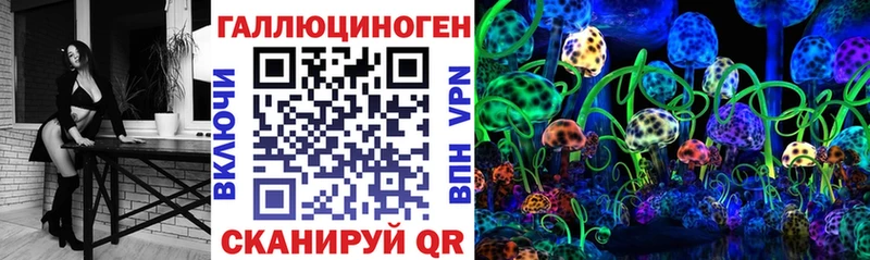 Псилоцибиновые грибы Psilocybe  Купить где  Елабуга 