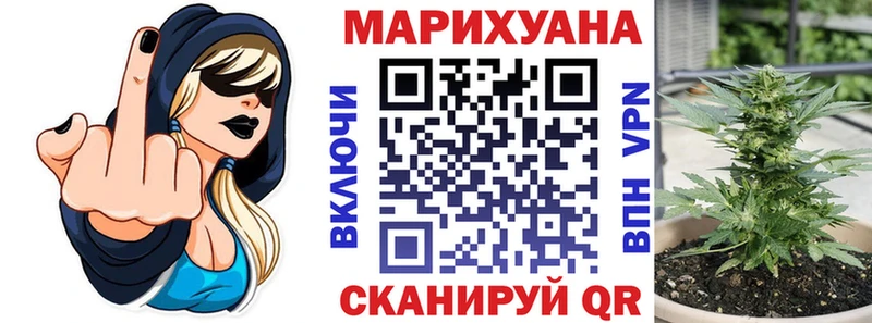 Купить Елабуга Бошки Шишки планчик
